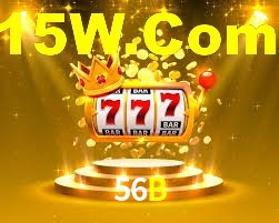Programa VIP 56B